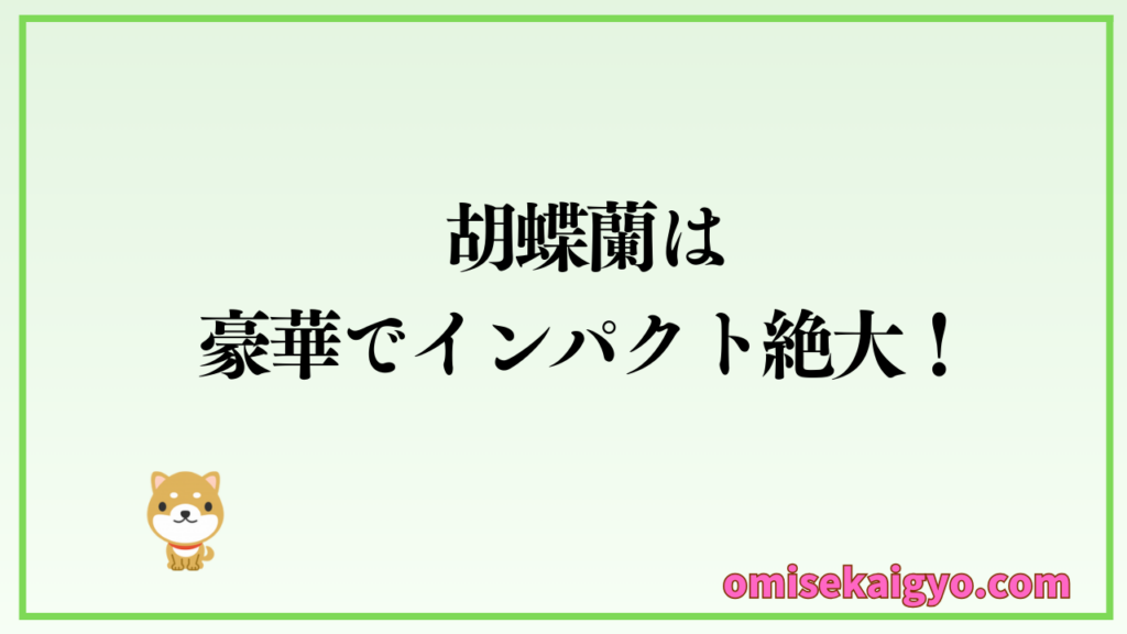 胡蝶蘭は豪華でインパクト絶大|お店開業などで利用してね