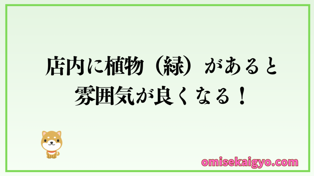 お店の店内に観葉植物などがあると雰囲気が良くなるよ