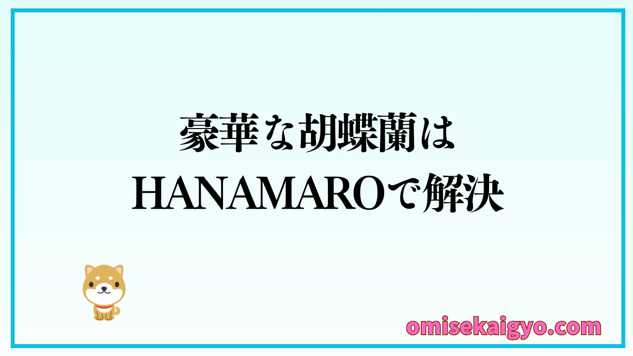 豪華な胡蝶蘭はHANAMARO（ハナマロ）で解決