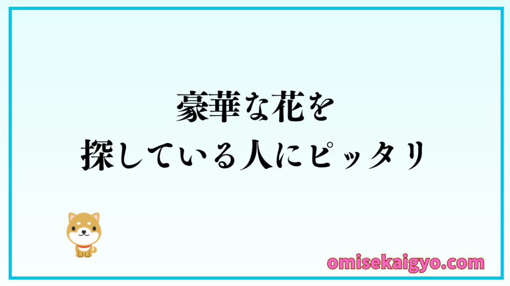 豪華な花を探している人にHANAMARO(ハナマロ)はピッタリ