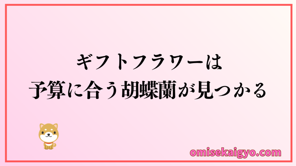 胡蝶蘭専門店ギフトフラワーなら予算に合う胡蝶蘭が見つかる