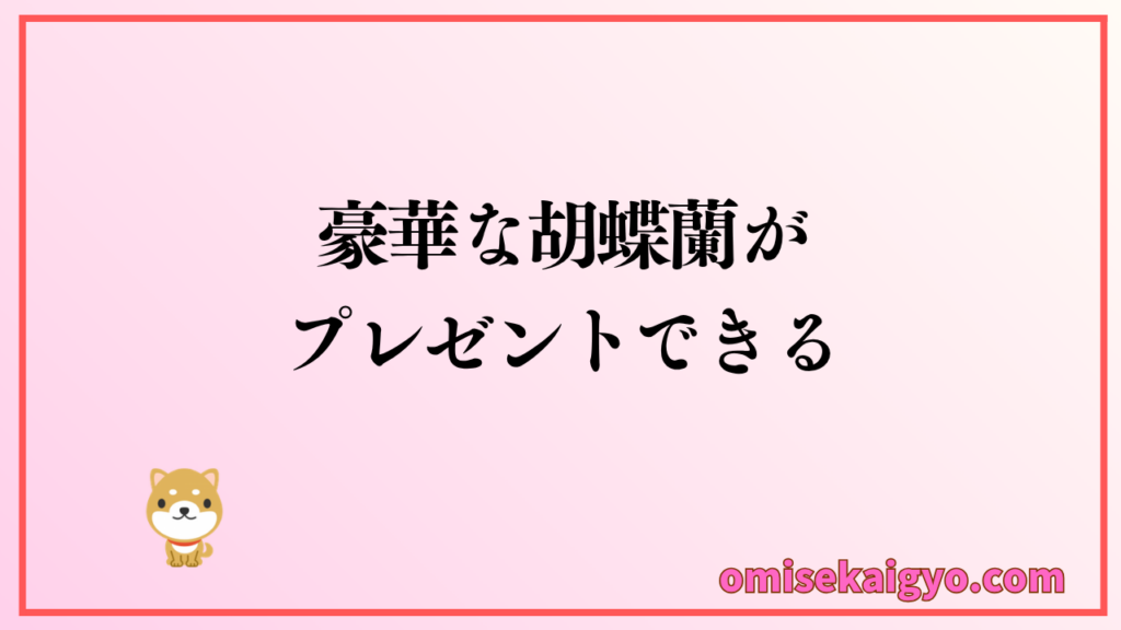 豪華な胡蝶蘭をプレゼントしたい人には胡蝶蘭専門店ギフトフラワーがおすすめ