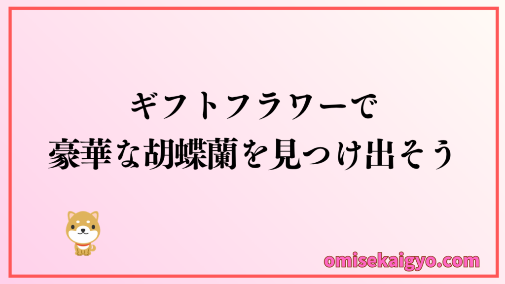 胡蝶蘭専門店ギフトフラワーで豪華な胡蝶蘭を見つけ出そう